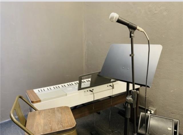 Impartisco lezioni di canto moderno, pianoforte classico/moderno e teoria e solfeggio a bambini e adulti