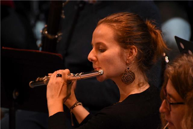 Professeur de musique et de flûte traversière