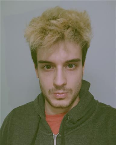 Laureando in matematica offresi per ripetizioni in matematica e fisica ed aiuto compiti