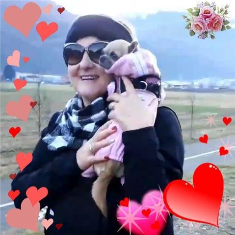 Matematica/inglese/ storia/italiana