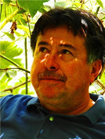 Especialista en técnicas de comprensión textual