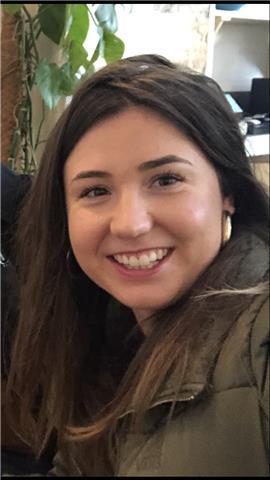 English courses - online - all levels