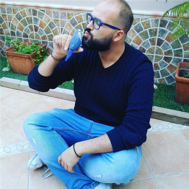 Profesor de inglés y lengua: aprende a tu ritmo, consigue resultados reales