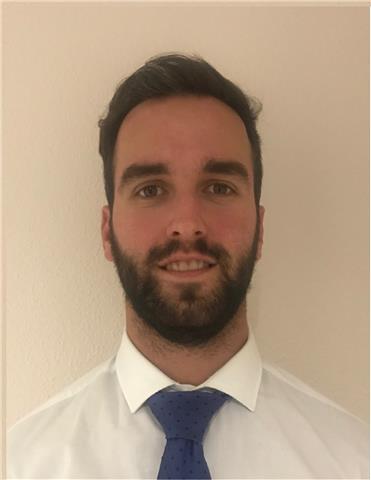 Profesor con nivel c2 da clases de conversación en inglés o preparación para cambridge