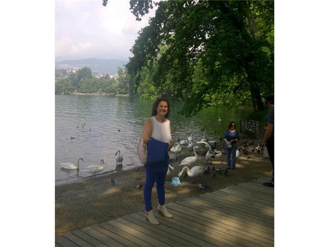 Insegnante di inglese, ragioneria