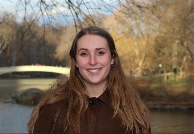 Insegnante madrelingua inglese. Offro lezioni online a tutti livelli