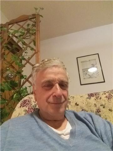 Insegnante di inglese e tedesco livello principianti intermedio