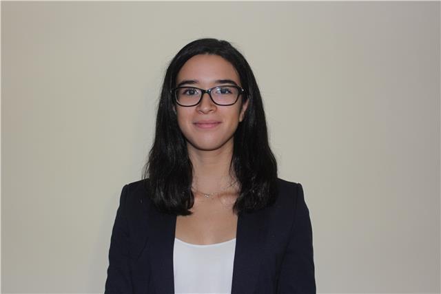 Doy clases económicas de inglés a niños desde infantil hasta bachillerato. experiencia con niños