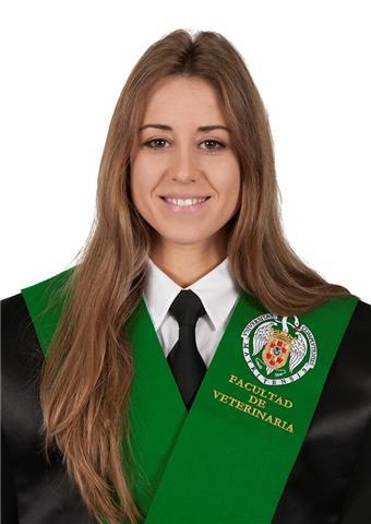 Clases particulares primaria y 1º y 2º e.s.o