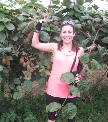 Taller botánico y gymkana