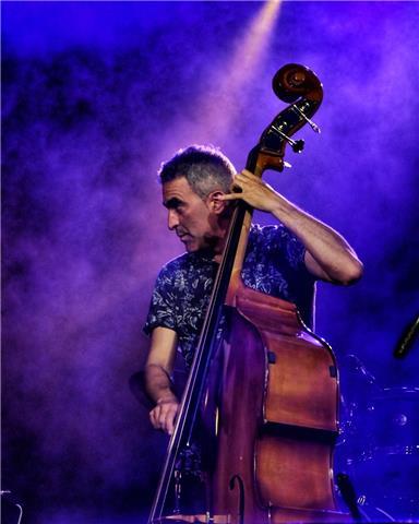 Clases de contrabajo y bajo eléctrico