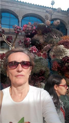 Doy clases de matemáticas a todos los niveles. gran experiencia y alto porcentaje de aprobados. incentivo a los alumnos a su interés por la asignatura