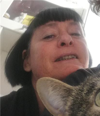 Interprete impartisce lezioni inglese e o francese spagnolo