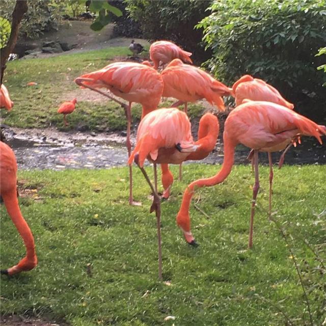 Professeur de français vous aide à préparer le ce1d ou vous aider dans vos lacunes