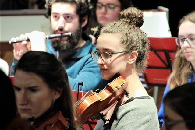 Soy una estudiante de grado superior en la especialidad de violin. doy clases particulares adaptándome al nivel y las necesidades del alumno