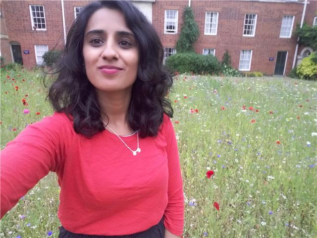 TEFL qualified lawyer-linguist offering English conversation classes