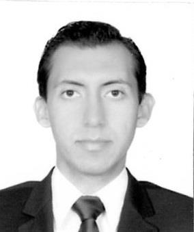 Experiencia en enseñanza de diversas materias