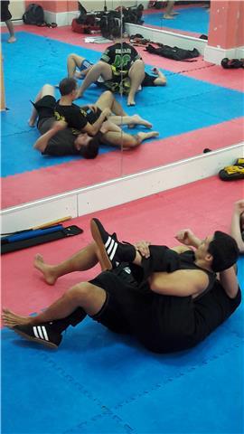 Defensa personal/ Artes marciales variadas