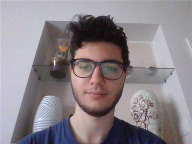 Studente di Ingegneria Informatica offre lezioni per programmazione