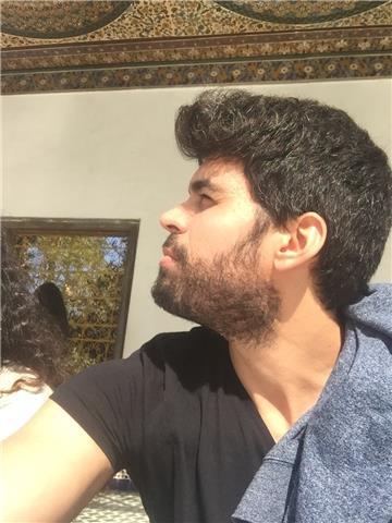 ¿violinista en 24h?, !puedes!