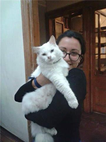 user photo