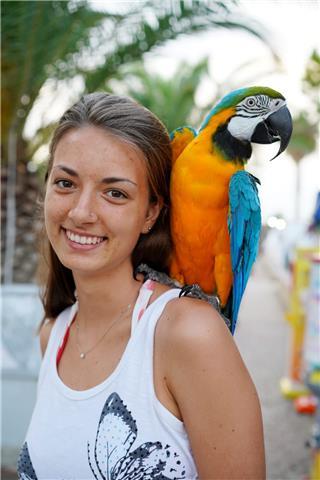 Studentessa universitaria per ripetizioni di matematica alle medie