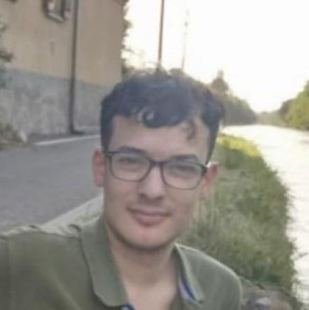 Insegnante madrelingua offre lezioni private e personalizzate online