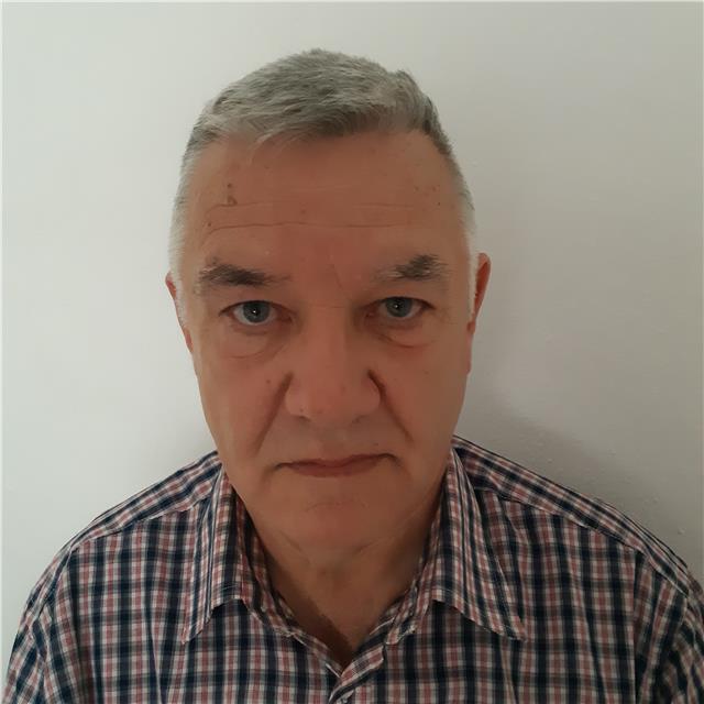 Native English teacher with 15 years of experience offers private English classes for children and adults in Malaga