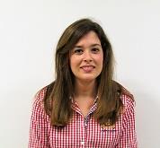 Doy todas las asignaturas de esos niveles educativos e inglés