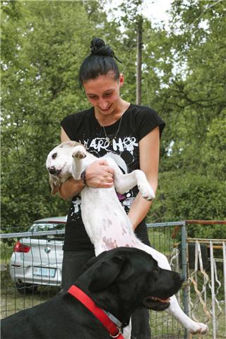 Ragazza di 23 anni offre lezioni private di matematica, zona rimini/cesena e provincia