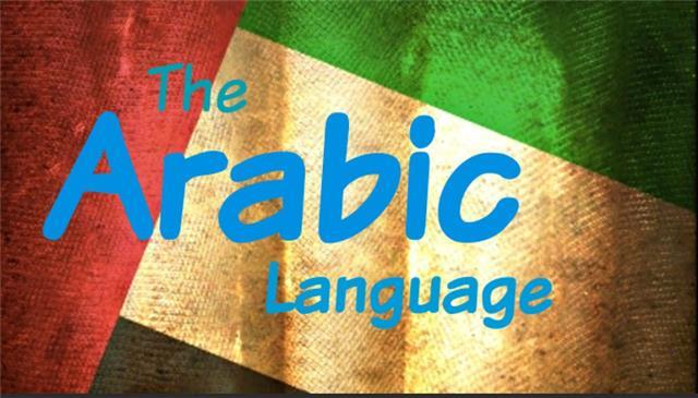 Insegnante madrelingua araba e francese