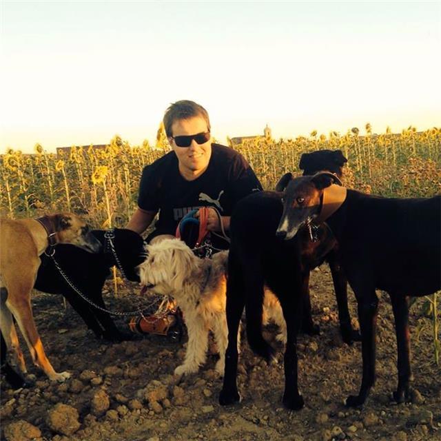 Matemáticas,contabilidad, economia, financiera, inglés