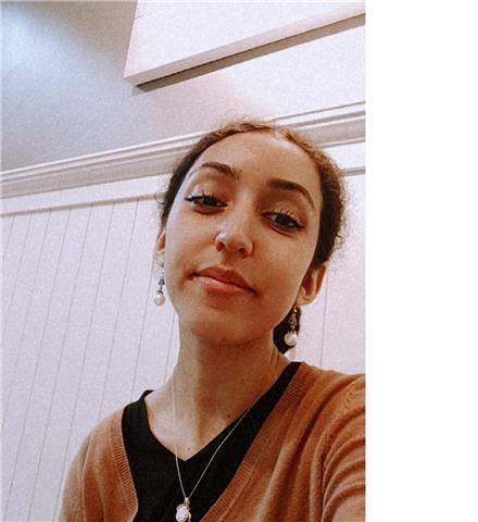 Insegnante inglese offre lezioni d'inglese livello a1-b1 ad albino (bg)