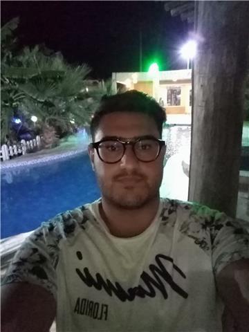 insegnante di inglese,italiano,arabo,persiano