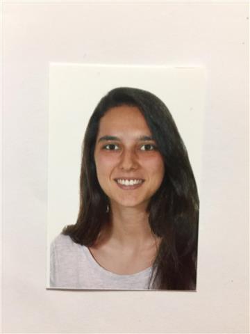 Clases de castellano y valenciano o asignaturas de humanidades en general