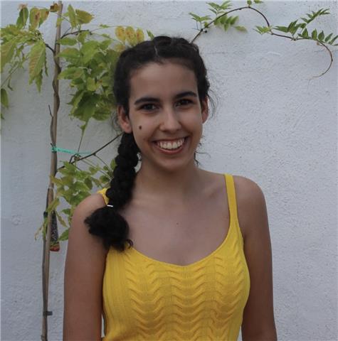 Profesor de clases particulares a domicilio