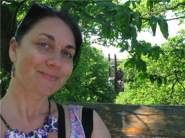 Clases de ingles y frances, conversacion/ intermedio/avanzado