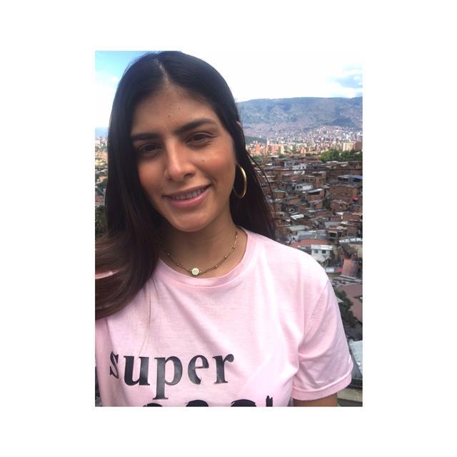 Profesora de inglés, ofrezco solo clases online por el momento