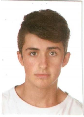 Profesor de inglés, he estado viviendo medio año en eeuu ngo el diploma del first y doy clases en mi casa o a domicilio