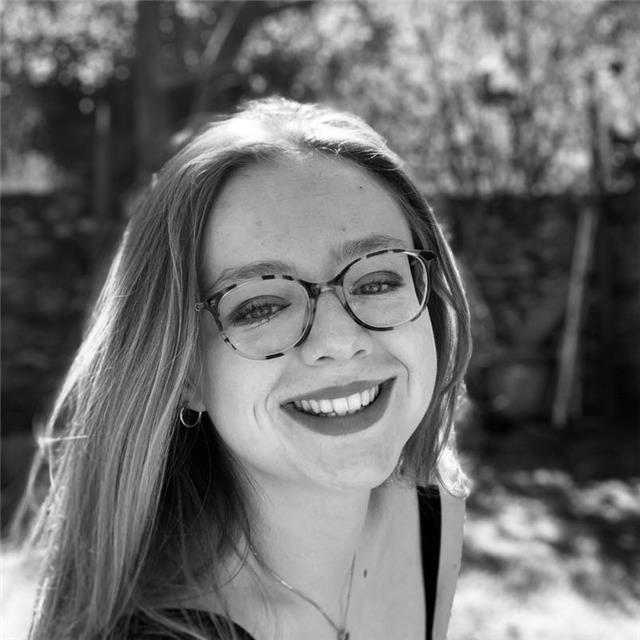 Donne cours de français tous niveaux. Préparation bac, brevet etc