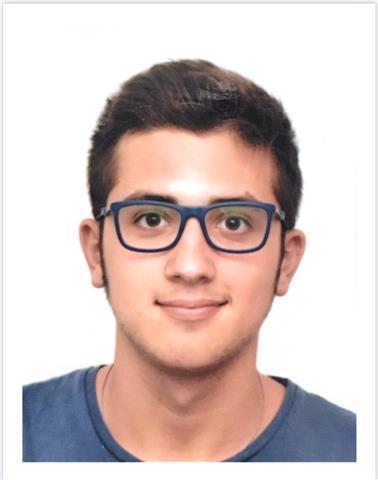 Studente universitario che frequenta il corso internazionale in inglese business and economics e con livello proficiency di inglese (c2 certificato cambridge )