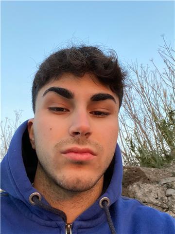 Laureando in ingegneria informatica offre lezioni di tutte le materie scientifiche