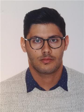 Profesor de inglés y francés imparte clases particulares online