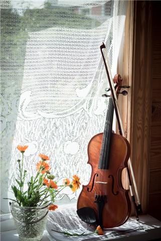 Lezioni di violino ,pianoforte ,teoria mudicale,da Maestro diplomato al conservatorio di Roma