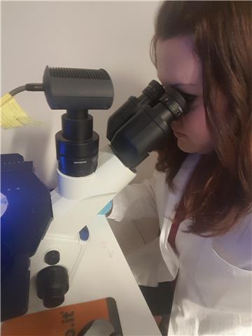 Laureata magistrale in biologia con il massimo dei voti offre ripetizioni di biologia