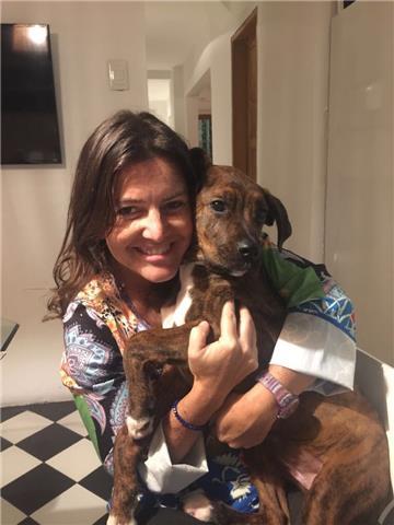 Doy clases grupales o individuales de ingles. mayormente de  conversation . a personas de cualquier edad