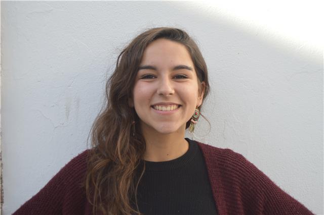 Guitarra, lengua, literatura, música, naturales