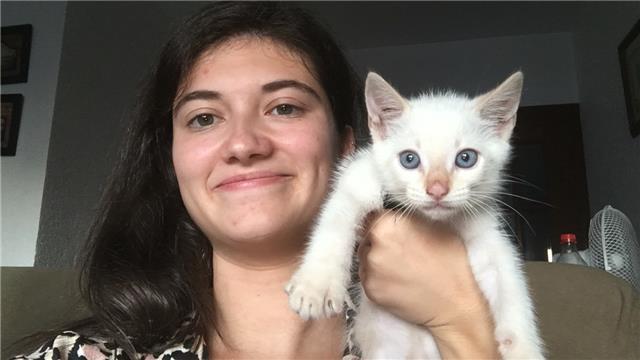 Profesora de inglés, francés e idiomas, solo online