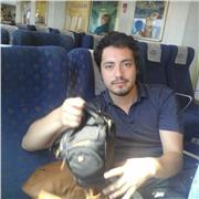 Profesor de matemáticas, media o universitaria