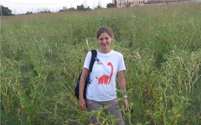 Clases de apoyo para primaria y eso